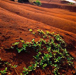 《大侠立志传：碧血丹心》全球销量突破100万份 更新本月下旬上线